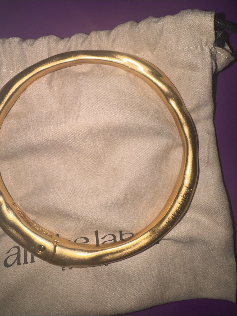 Alf the label Carabiner Capsule with Dust Bag for Clutch or Wristlet